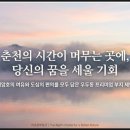 이로운공인중개사사무소 이미지