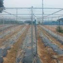 마정농장 이미지