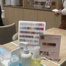 광교프라자동물약국 | [수원/광교] 서영언니뷰티크 광교점 / 솔직후기 / 광교중앙역 자석젤 네일 후기