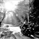 베스트목장 이미지