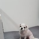 제이앤제이그루밍 이미지