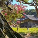 통일전 주차장 화장실 | 경주 여름 가볼만한곳 서출지 이요당 배롱나무 사진명소