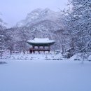 설국농장 이미지