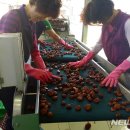 하동군산지유통센터 이미지