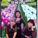 확률 게임 이미지