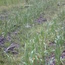 가내축산 이미지