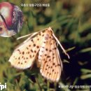 제일방제 - 연천군 | 제일방제