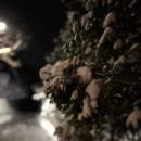 아베크 락 이미지