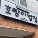 호랑이밥집 티스토리