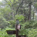 경강로111 네이버블로그