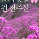 함안경 이미지