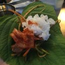 돌리고 제주도야지 이미지