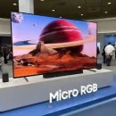 진도열쇠, 엘지커텐 | 월드IT쇼 2026 삼성·LG 신제품 총정리