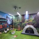 옥동초교 병설유치원 이미지