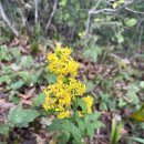 동촌1리 이미지