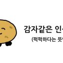 썬필드 이미지