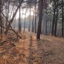 기안주유소 이미지