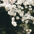 오토블링 부산점 이미지