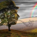 상신브레이크노동조합 이미지