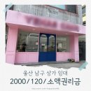꽃길공인중개사사무소 이미지