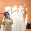 라라아비스 | 전수현웨딩 본식 드레스 셀렉(부제 : 맨날 드레스 입고 살면 않되?)