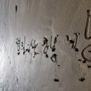 8월 1일(금) 해운대 어싱 맨발걷기 이미지