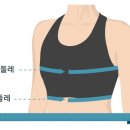 몬스터비