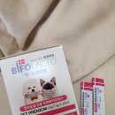 디어포우 | [광고] 강아지 유산균 '비오락토 펫 프리미엄' 유산균!