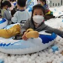 금봉어린이집 이미지