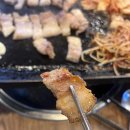 돼지들의이야기 이미지