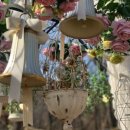 모모의 숲 이미지