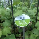 주렴농장 이미지