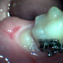 한스치과의원 이미지