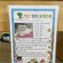 4/7(목) 키즈 인 더 포레스트🐱🐿💙 이미지