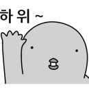 모어비쥬