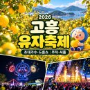 고흥'유자축제' 이미지