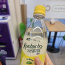 장수CU점 | [CU 신상 막걸리] 티젠 콤부차주 레몬 내돈내산 솔직 후기｜콤부차+막걸리 조합이라니?