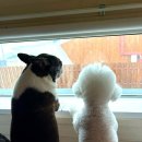 스테이인터뷰 노호 이미지