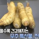 천마에너지 이미지