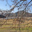 김삿갓초장 이미지