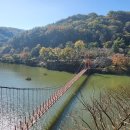 입곡군립공원(산림욕장) | 경남 단풍명소 걷기좋은 입곡군립공원 231102 방문 후기