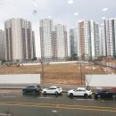 엠티브이교동짬뽕 네이버블로그