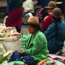 안데스(Andes) 이미지