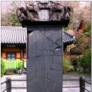 고운;유 이미지