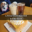 강북구 북한산근처 애견동반카페 라떼킹 북한산점 주말 방문기 (아메리카노, 바닐라라떼, 허니브레드)