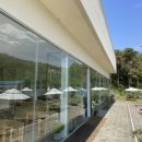 현덕로 | 평택 조용한 브런치 카페, 시숲 내 돈 내산