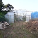 정일품농장 이미지