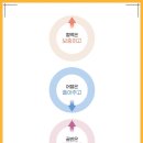 바로잡어 이미지