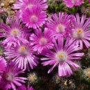 살아생전 이미지