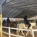 서울곰두리체육센터 이미지